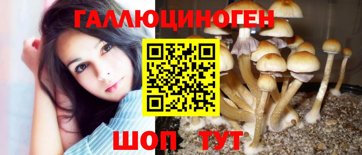 купить  цена  Галлюциногенные грибы GOLDEN TEACHER  Псилоцибиновые грибы Magic Shrooms  Вход с VPN  Златоуст 